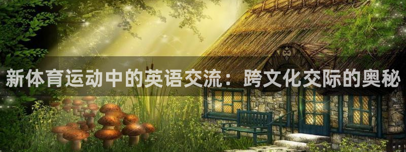 熊猫体育app官方下载最新版