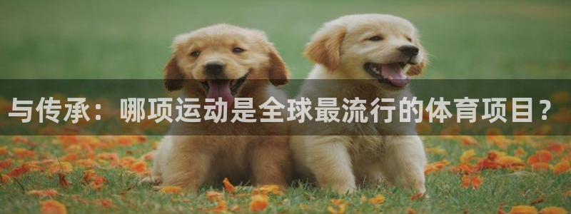 下载熊猫体育