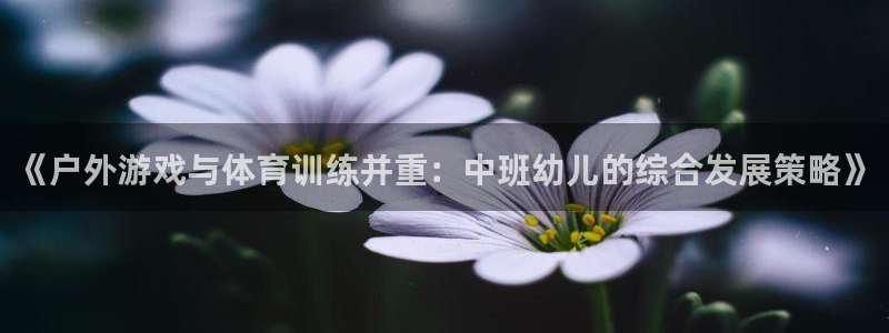 熊猫体育直播