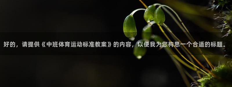 熊猫体育公园