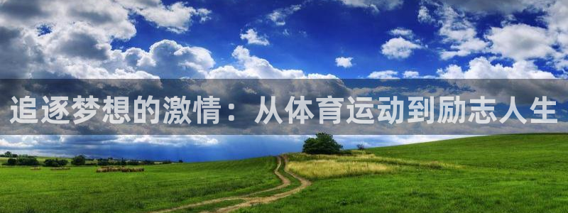 熊猫体育文化有限公司