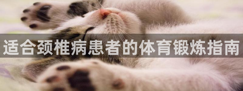 熊猫体育在线