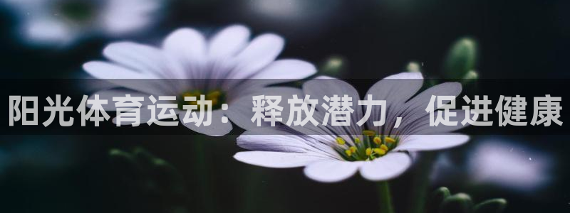 熊猫体育网站