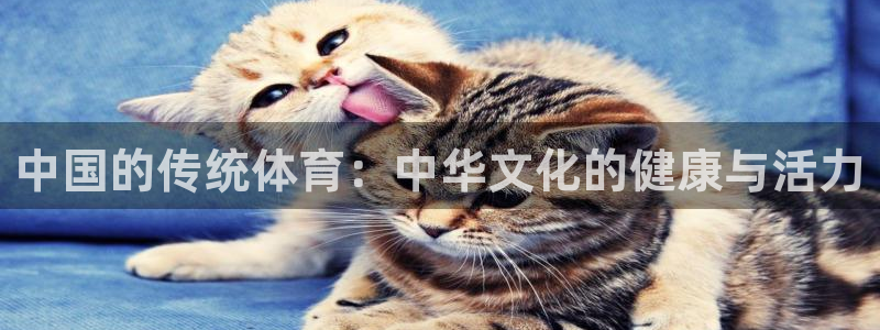 动感熊猫体育公园